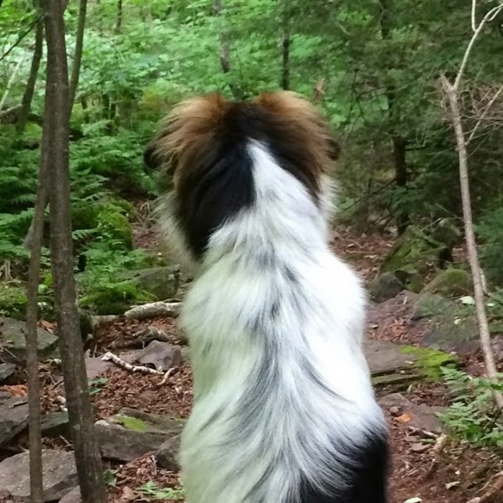 Meet your Posher, Art